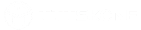 tttskone.com